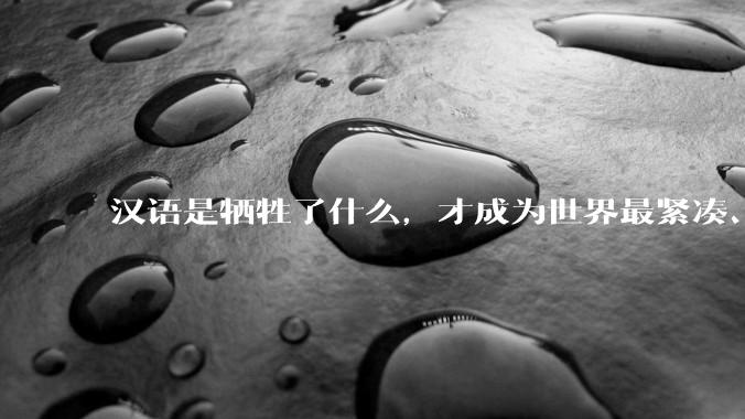 汉语是牺牲了什么，才成为世界最紧凑、最高效的语言？