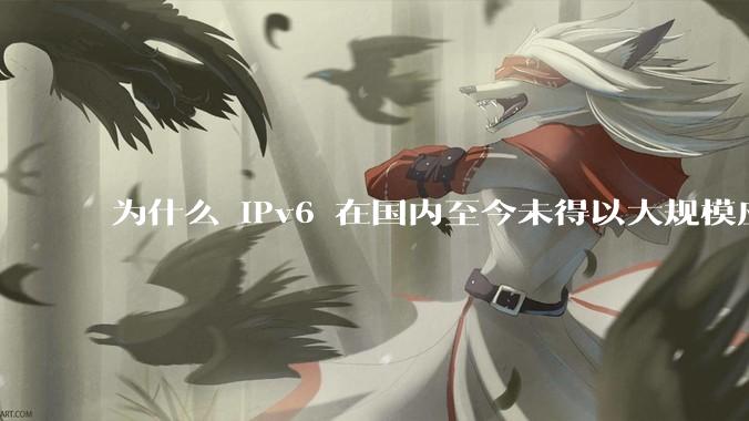 为什么 IPv6 在国内至今未得以大规模应用?