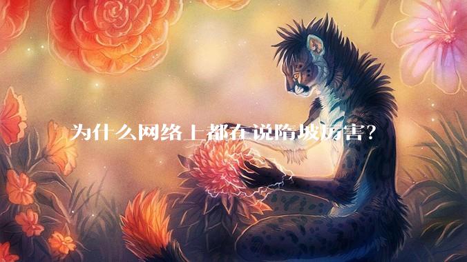 为什么网络上都在说隋坡厉害？