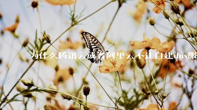 为什么腾讯云或者阿里云不让自建dns服务器?