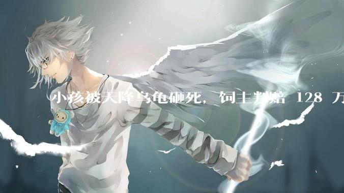 小孩被天降乌龟砸死，饲主判赔 128 万，如何从法律角度进行解读？
