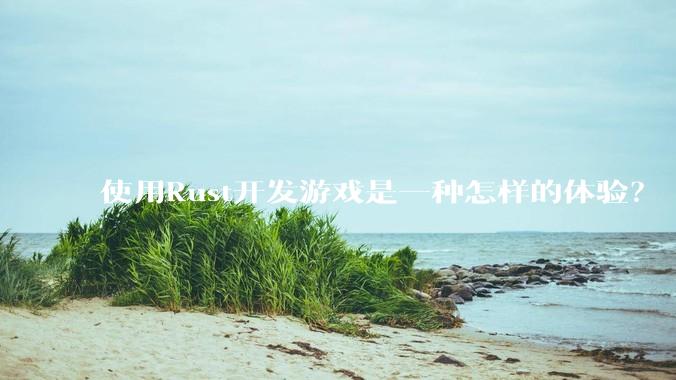 使用Rust开发游戏是一种怎样的体验？