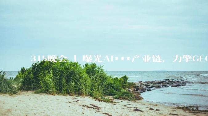 315晚会 | 曝光AI***产业链，力擎GEO可操控八款大模型，去年国内GEO市场规模29亿元_平台_系统_内容