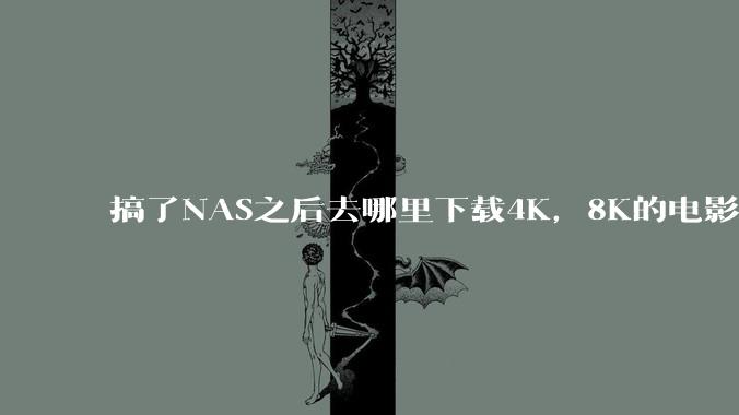 搞了NAS之后去哪里下载4K，8K的电影？