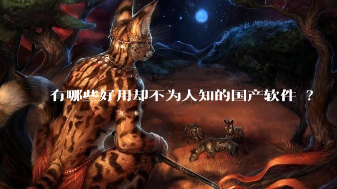 有哪些好用却不为人知的国产软件 ？