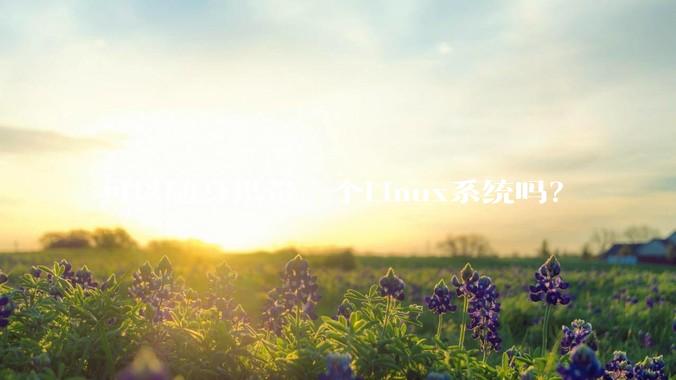 可以随身携带一个Linux系统吗？