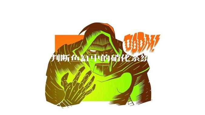 如何判断鱼缸中的硝化系统是否已经成功建立？