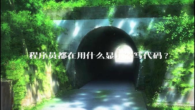程序员都在用什么显示器写代码?