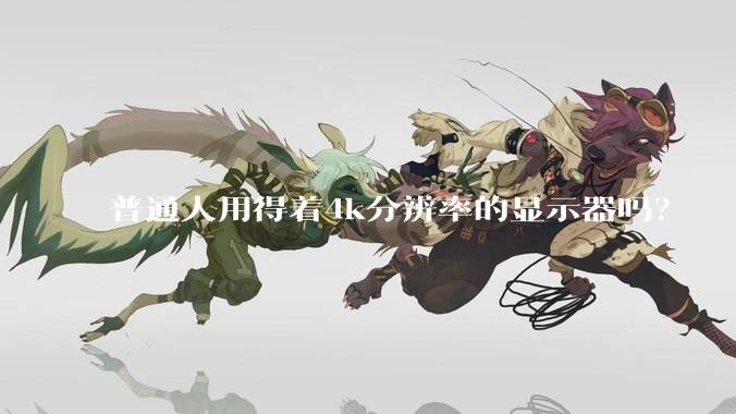 普通人用得着4k分辨率的显示器吗？