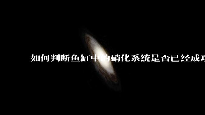如何判断鱼缸中的硝化系统是否已经成功建立？