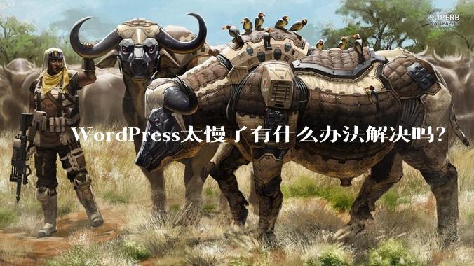 WordPress太慢了有什么办法解决吗？