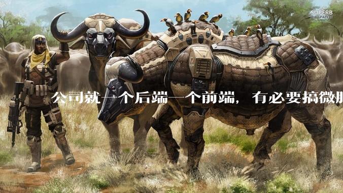 公司就一个后端一个前端，有必要搞微服务吗？