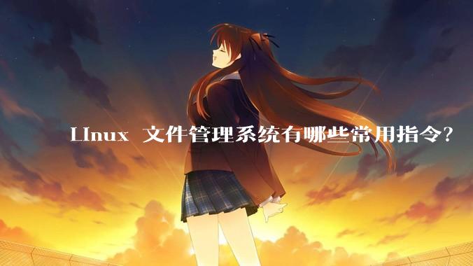 Linux 文件管理系统有哪些常用指令？